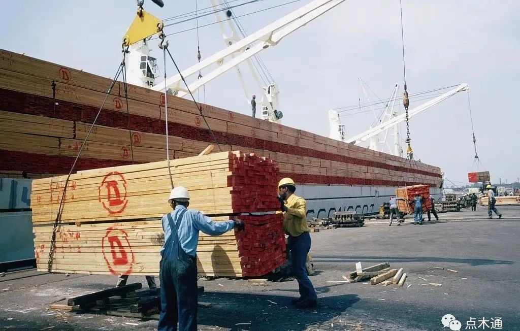 全国木材价格全线下跌情况,木材价格最新行情是上涨还是下跌