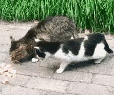 塞进去容易拔出来难,妹子着急死了哈哈哈哈哈哈！真的尴尬啊