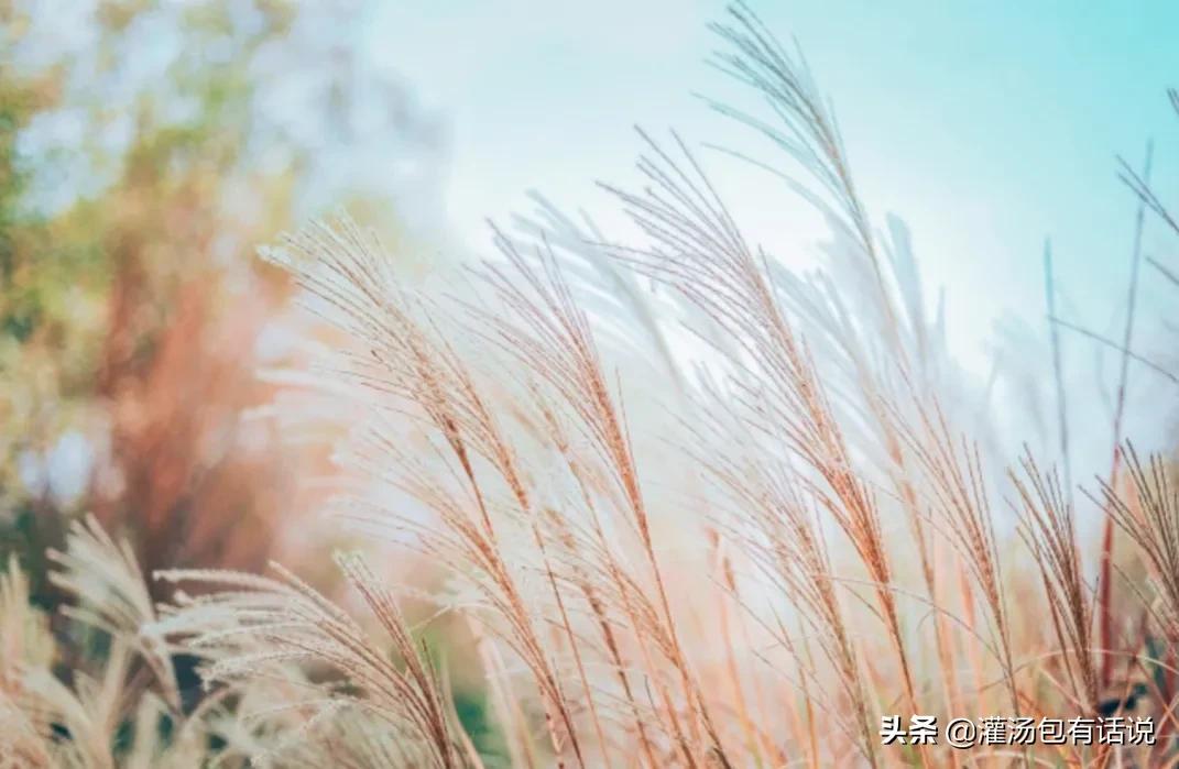 如何正确消费做到不浪费,生活中最省钱的消费方法