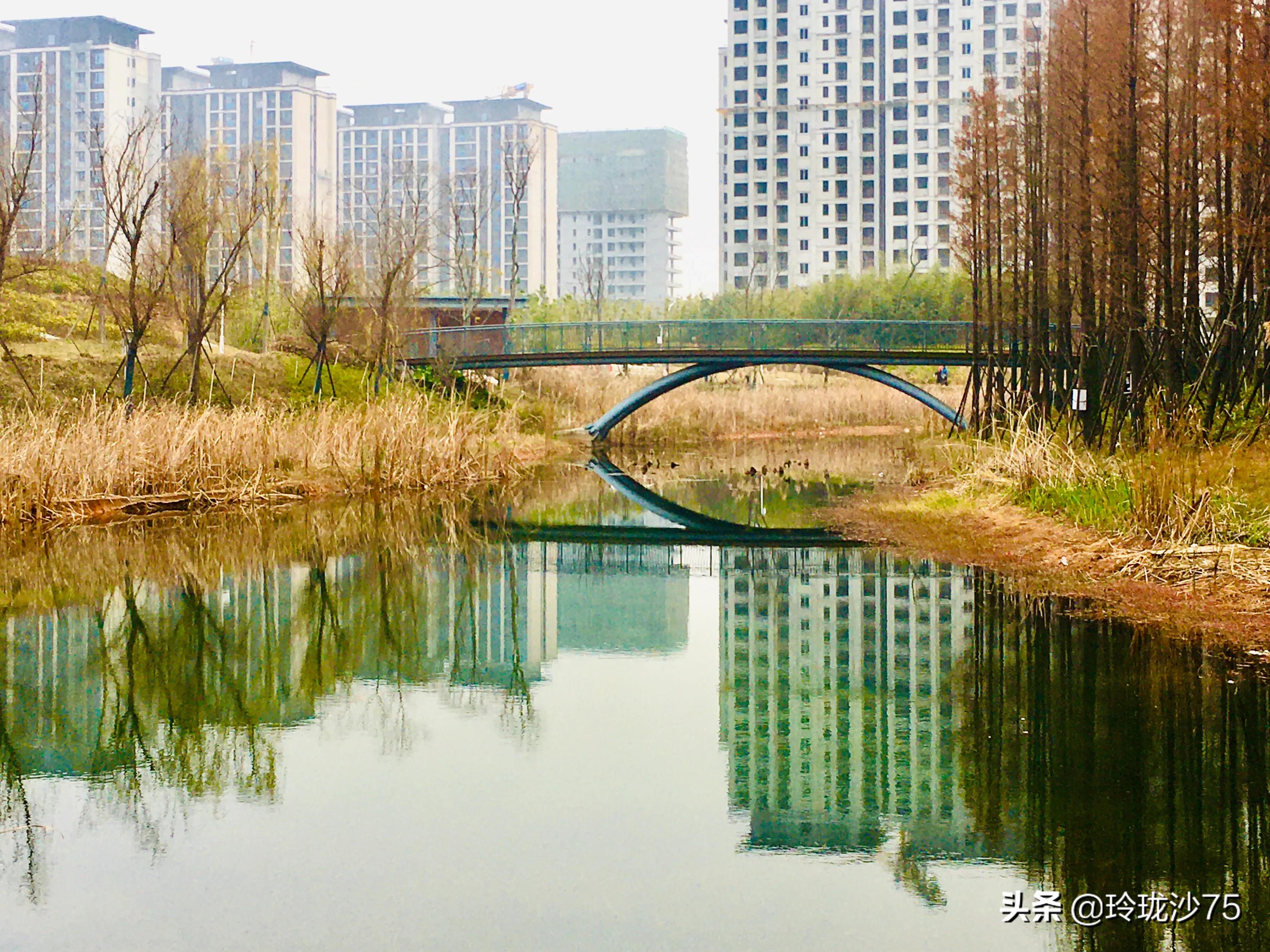 长沙风景美丽的篮球场,长沙王陵公园生态足球场