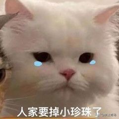 青岛免费hpv疫苗九价,青岛二价hpv疫苗