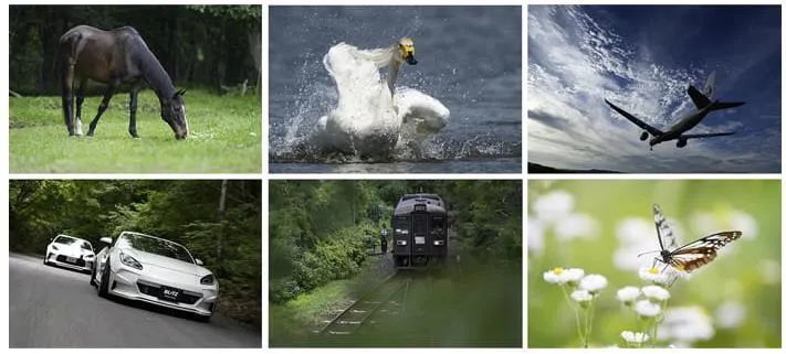 近几年数码相机发展,2018年数码相机整体市场需求