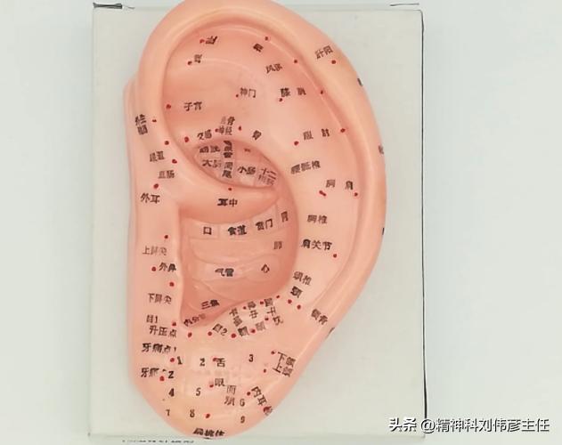 焦虑又失眠,耳穴贴敷法真的有用还是谣传?刘院长带你揭晓