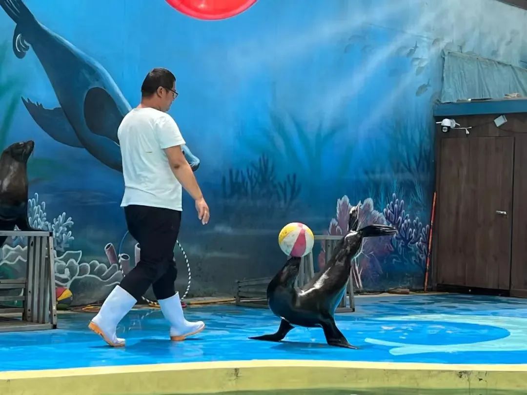 国庆假期秋游鞍山丨鞍山这些亲子游打卡点！家长们赶紧收好备用