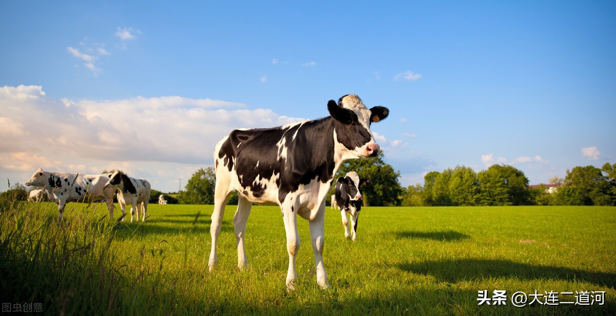 性价比高喝了抵抗力强的奶粉,性价比高的奶粉好吗