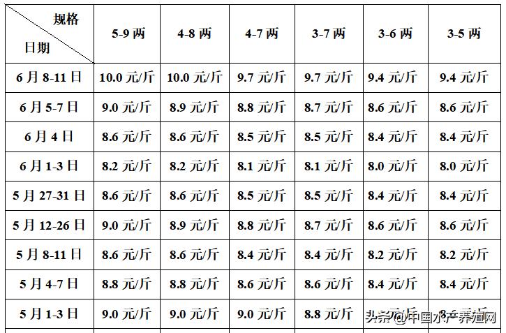 广东广西江苏养殖户先后受灾！鳜鱼鲈鱼鳜鱼黑鱼涨，对虾鮰鱼连跌