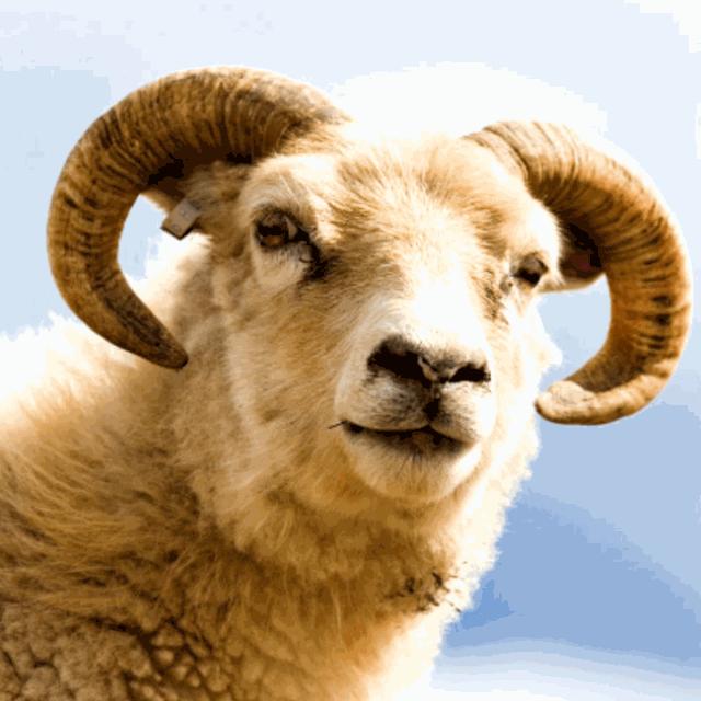 我国海拔最高的输变电工程,世界海拔最高的输变电工程