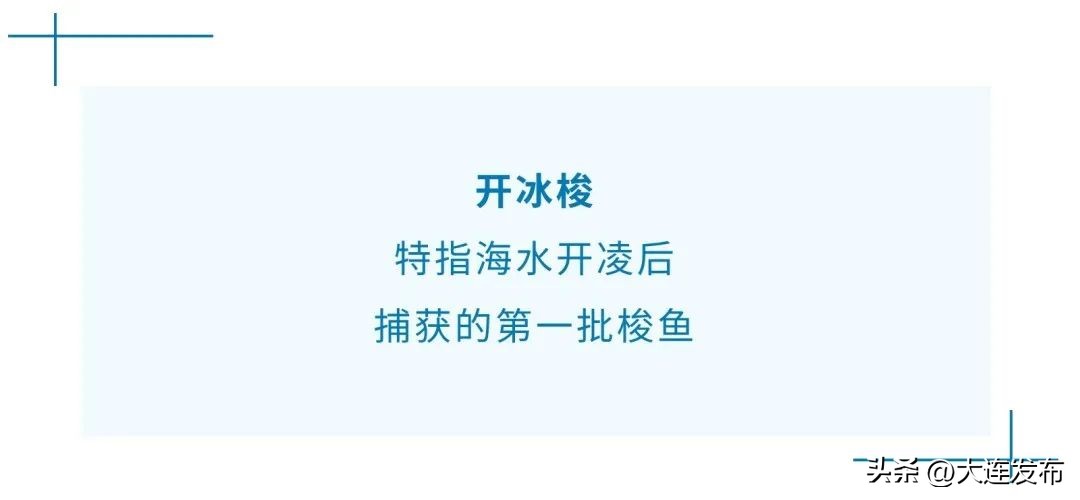 实现海鲜自由的秘诀,实现海鲜自由另一种说法