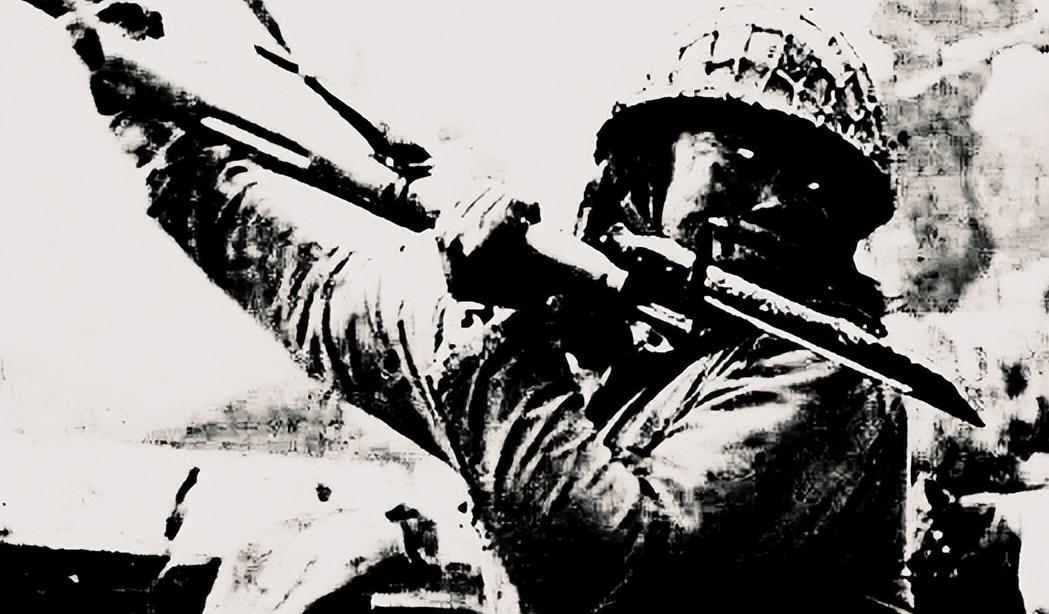 日本老兵写的日记,日本老兵日记