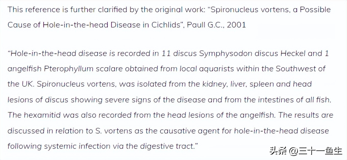 观赏鱼头洞病好转的表现,鱼得了六鞭毛虫病怎么治疗