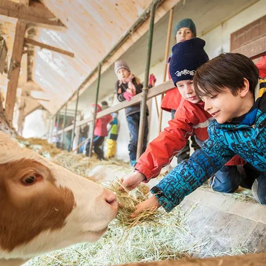 有关对华德福评价的视频,对华德福的评价