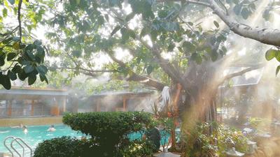 广东温泉旅游攻略住宿平价,广东中山泡温泉