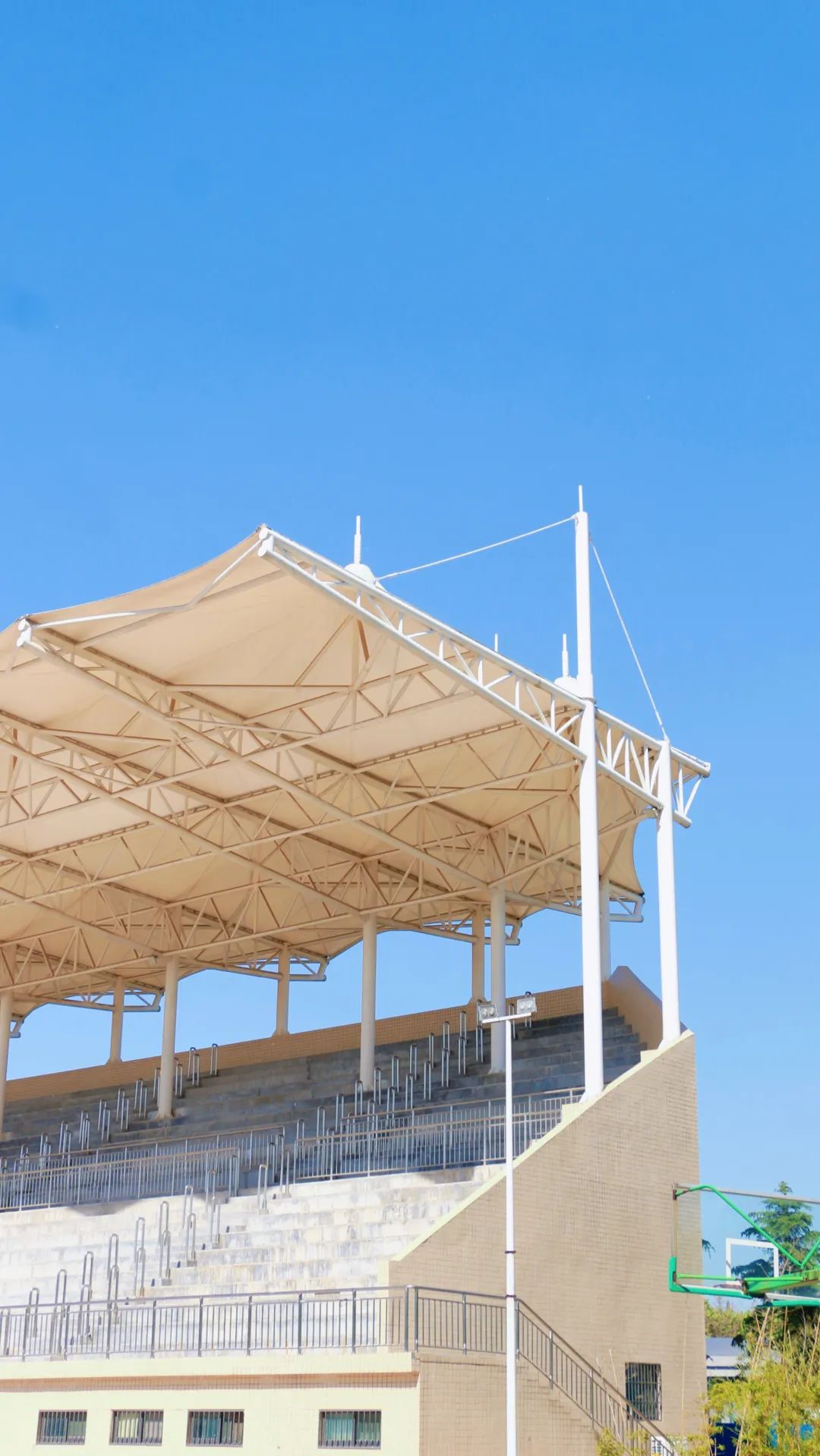 河职限量版壁纸，请查收