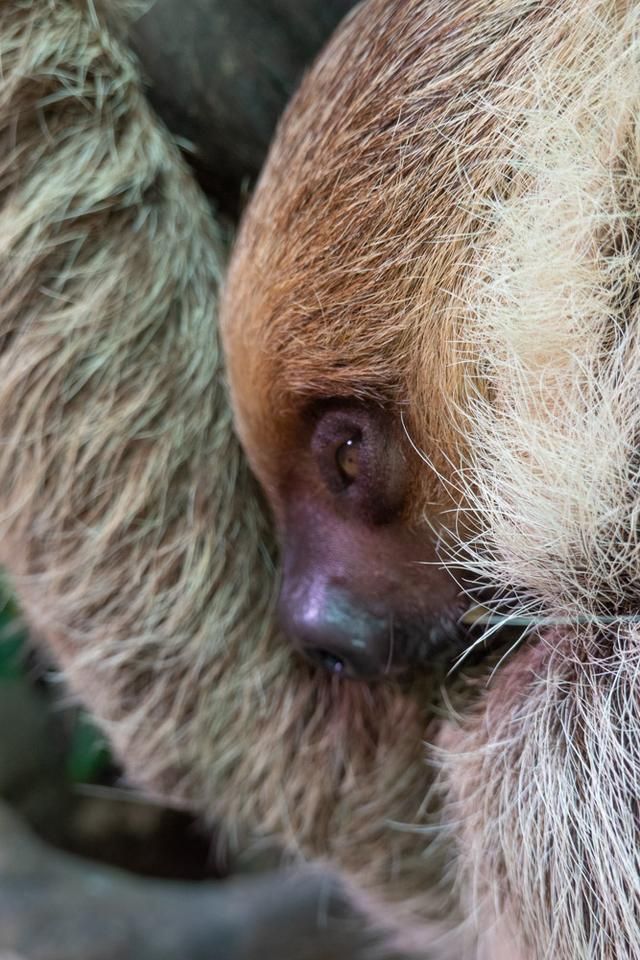 广州白云山风景区出现蛇,广州哪个景区好多蛇
