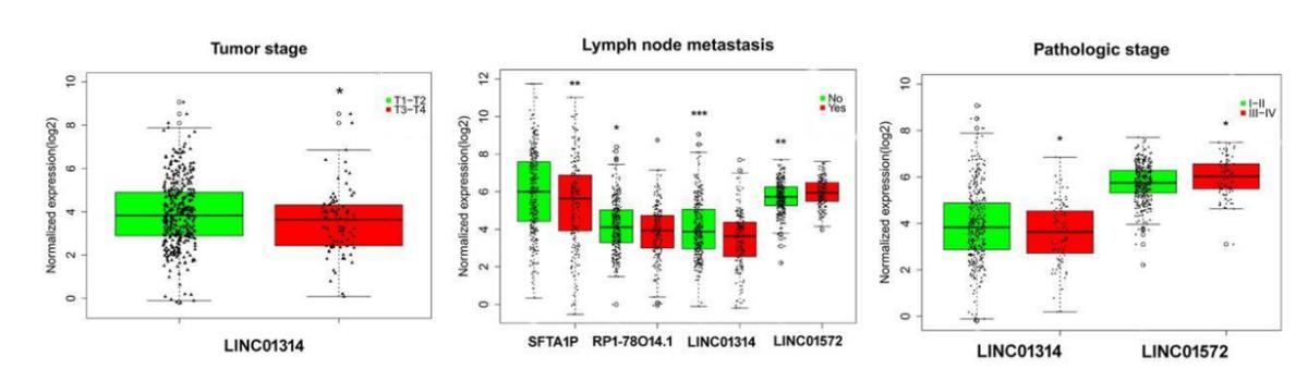 毛滴虫性妇科炎症甲硝唑,治毛滴虫用甲硝唑好还是替硝唑好