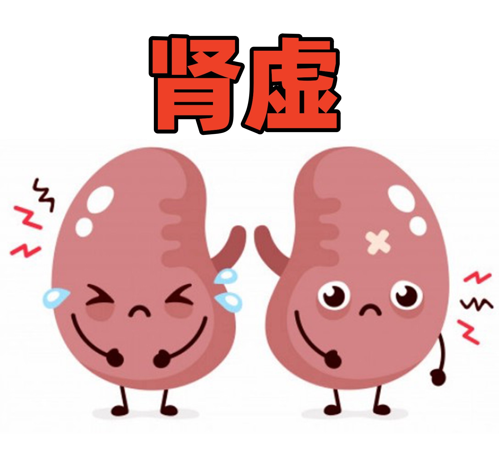 脾肾阴虚双补的千年古方,老肾阴虚中医补肾方首次揭秘