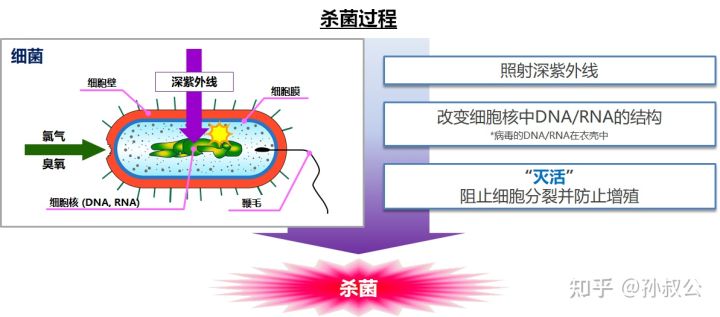 穿鞋脚臭鞋味道大怎么办,孩子穿鞋脚臭是鞋子问题吗