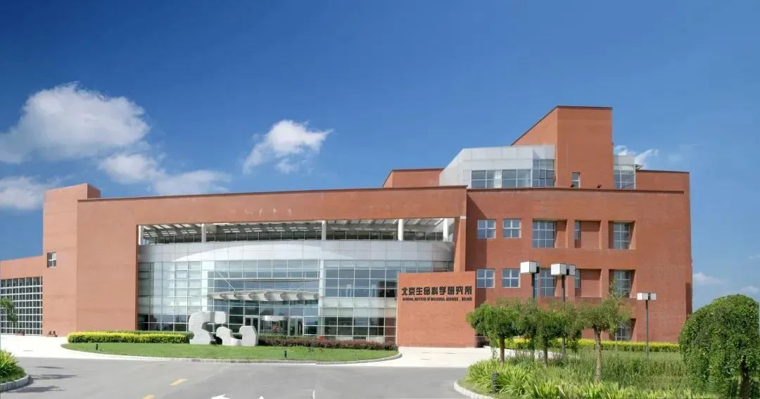 打造全国领先世界一流的科创高地,科创建设重大成果