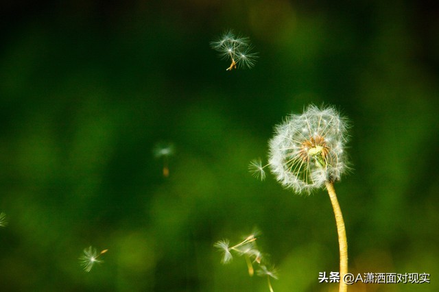 丈夫发现妻子出轨最好的处理方法,妻子出轨丈夫的正确处理方法