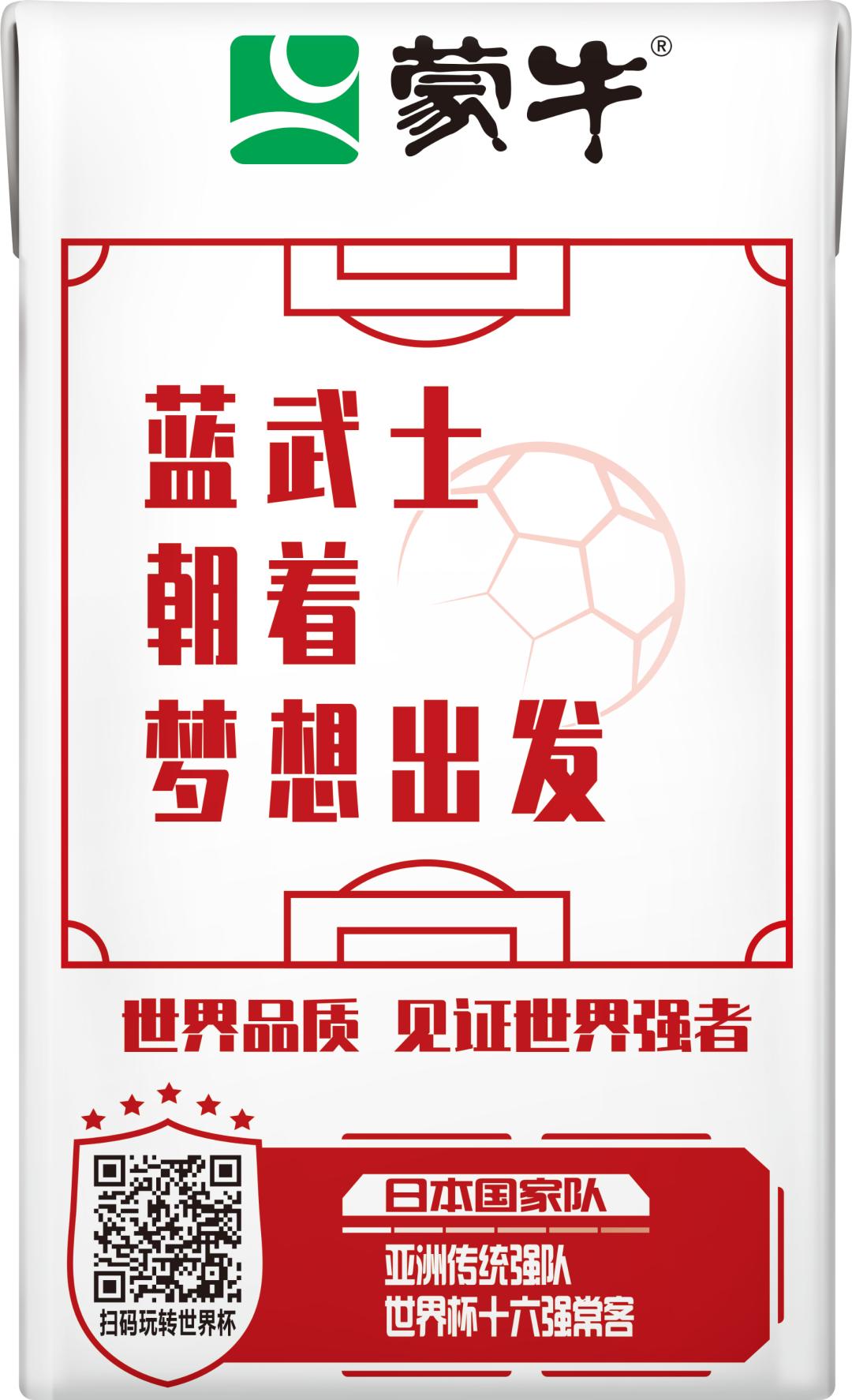 世界杯足球员故事,世界杯队长纪录片第四集