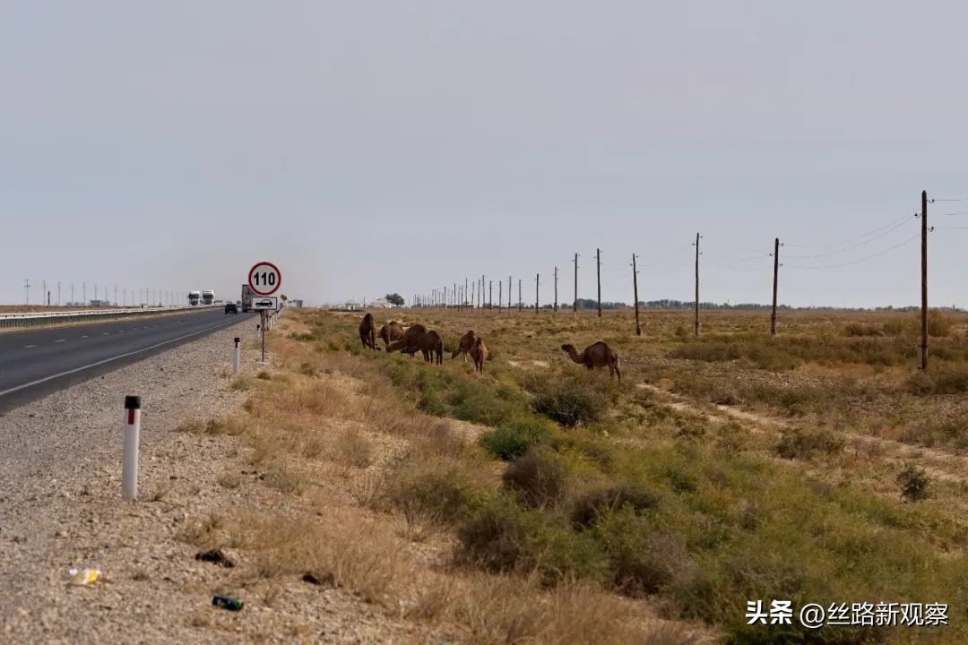 自驾中亚五国合集,俄罗斯程序员来中国