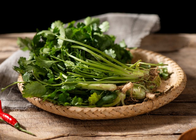 适合厨房养的绿植有哪些,厨房灶台放什么绿植