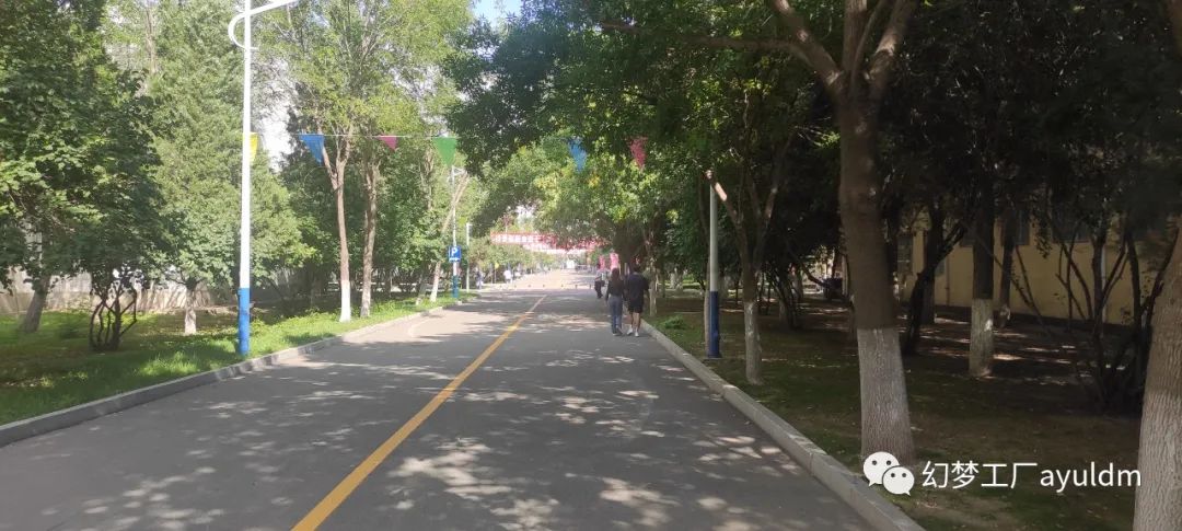 你好母校作文800字,你好母校作文