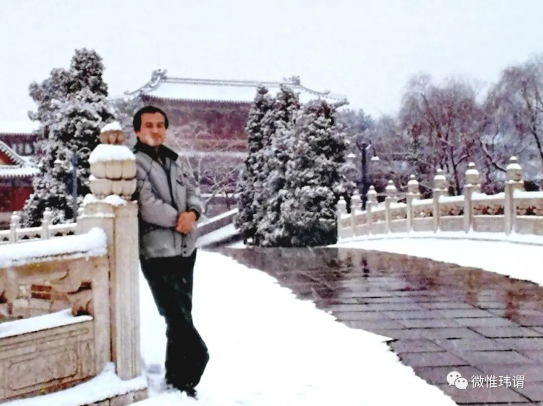 中南海印象原创：贺玮