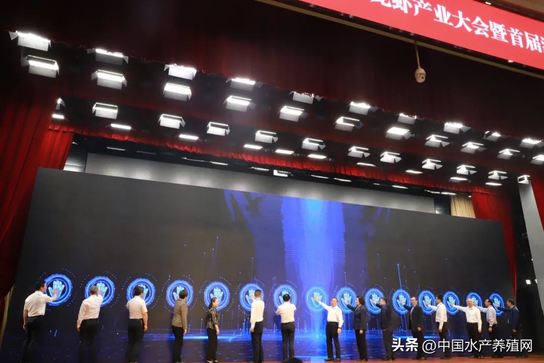 2023年南县小龙虾价格行情,南县小龙虾价格报价