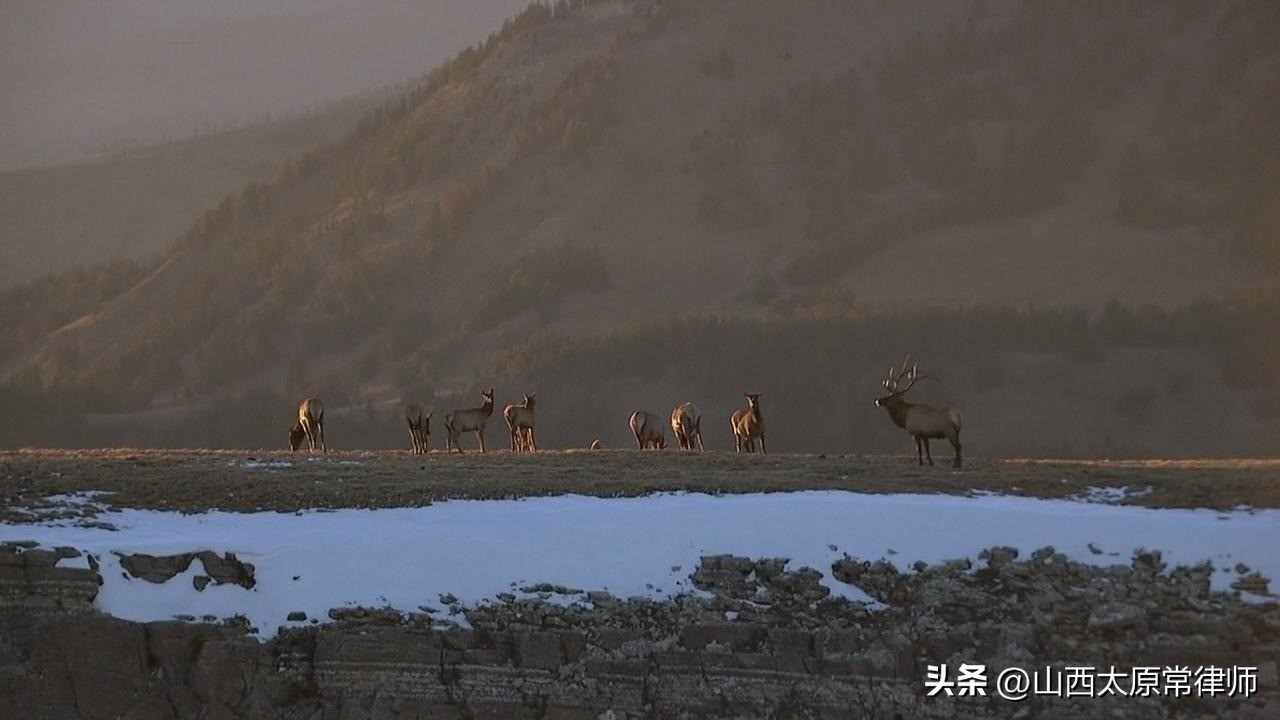 股权转让协议书范本怎么写,入股协议与股权转让