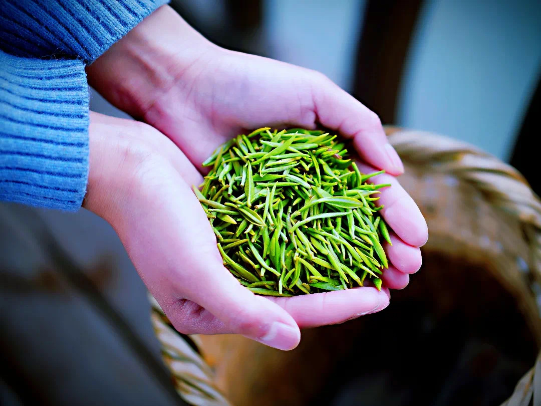 茶叶过度包装新标准,茶叶2两包装2斤