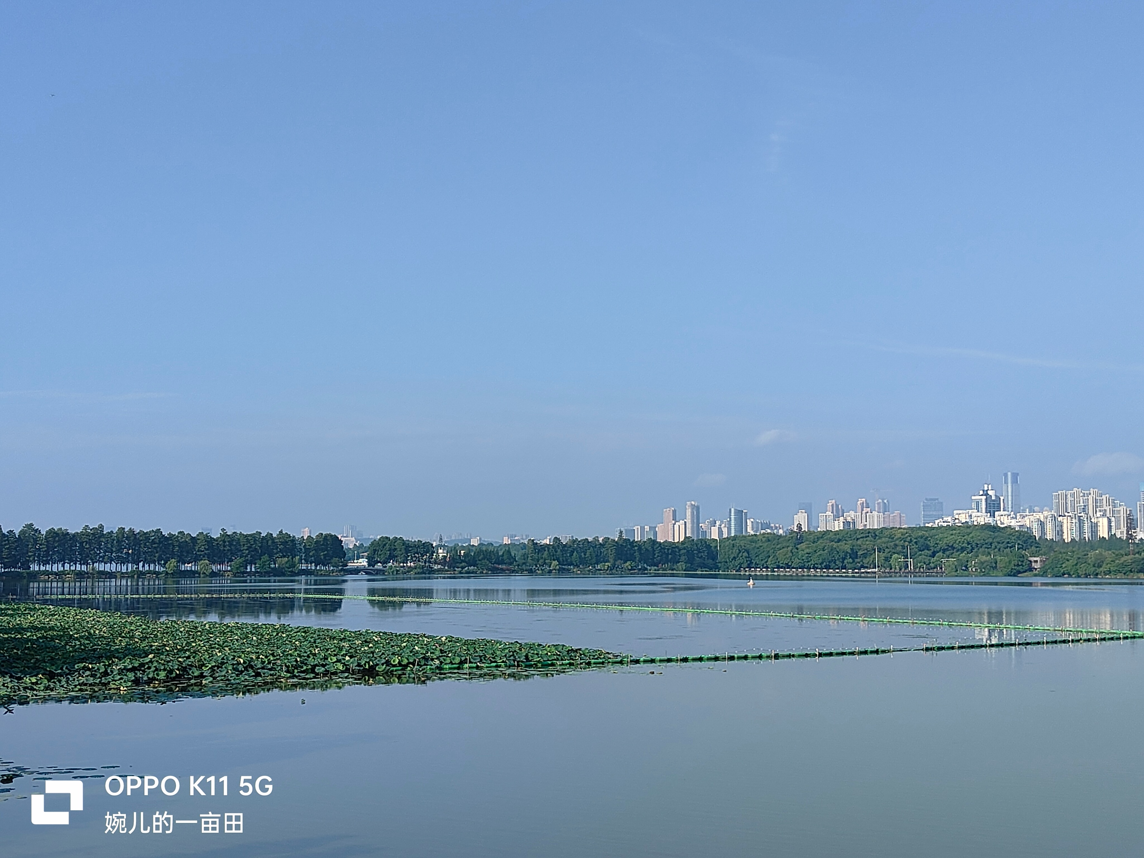 oppo2k手机价格,oppo2k左右性价比高的手机