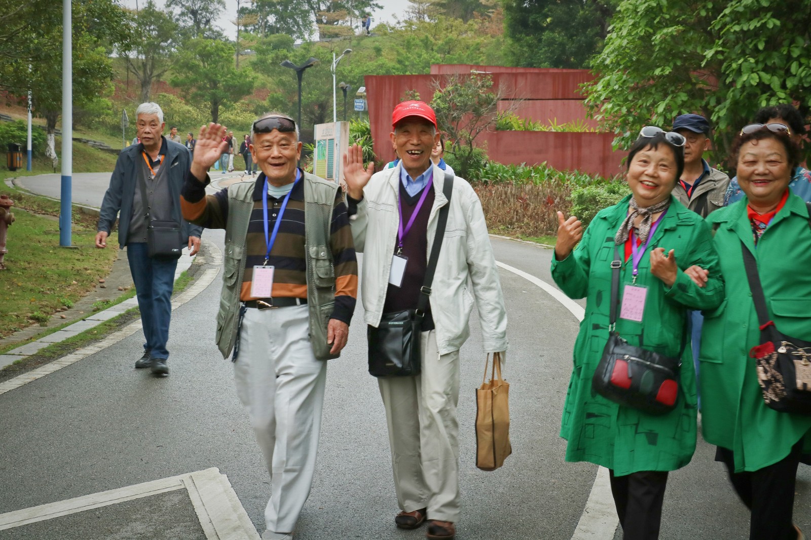 年轻人混入老年旅行团,夕阳红旅游团老人