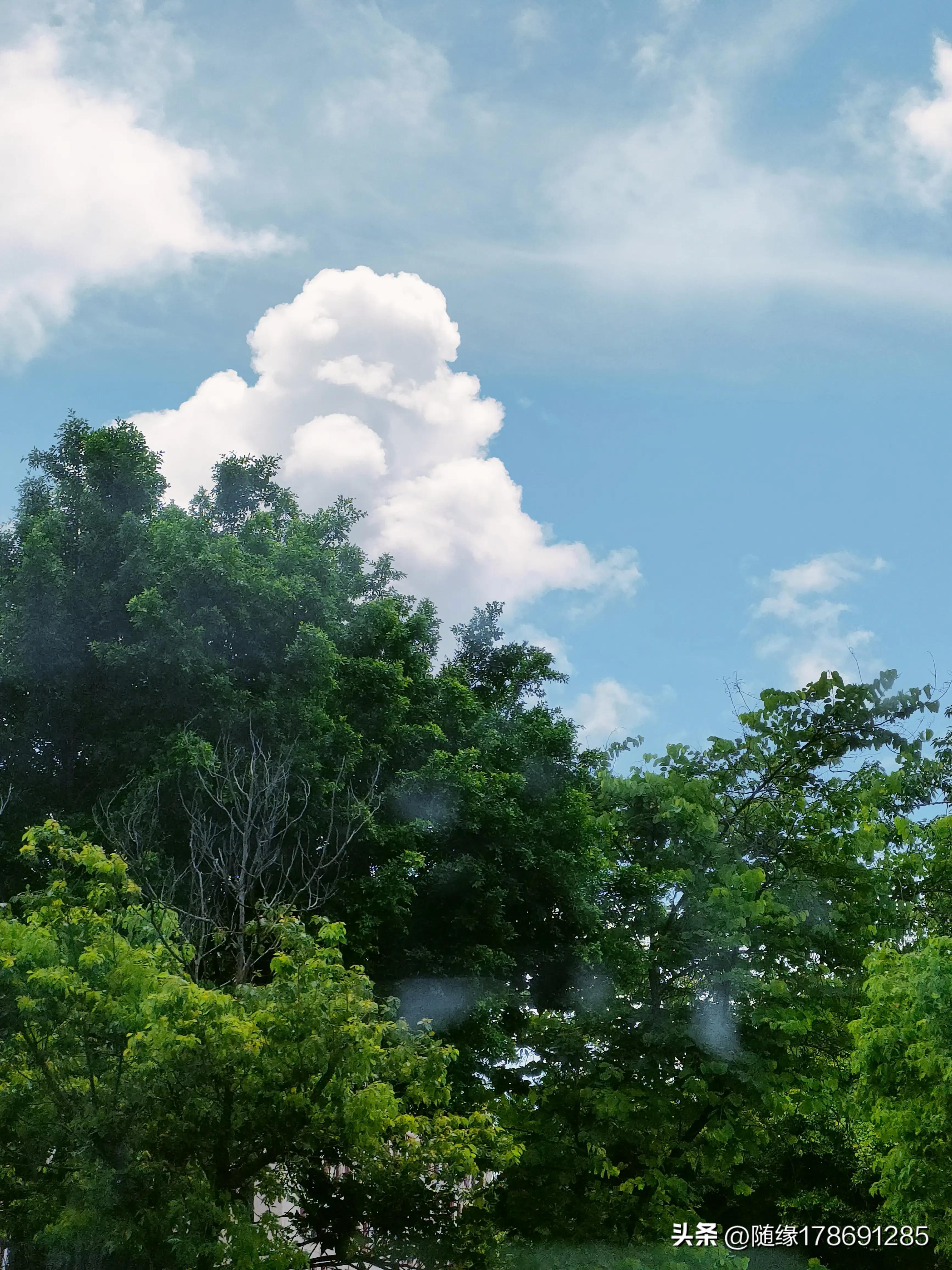 云游潮汕,汕头金砂中路公园