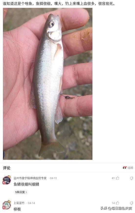 盘点那些“盐选神回复”,盐选神回复