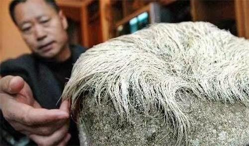 辽宁男人用18万买下了奇石,辽宁男子花5000万买下原石