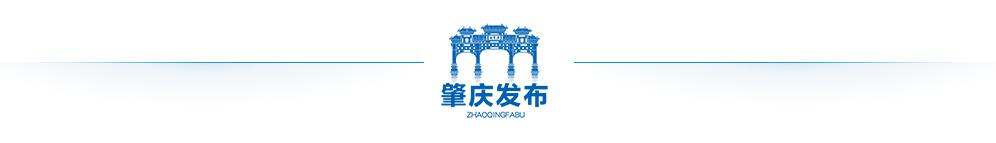 连续三天的核酸检测报告哪里查,连续三天的区域核酸检测