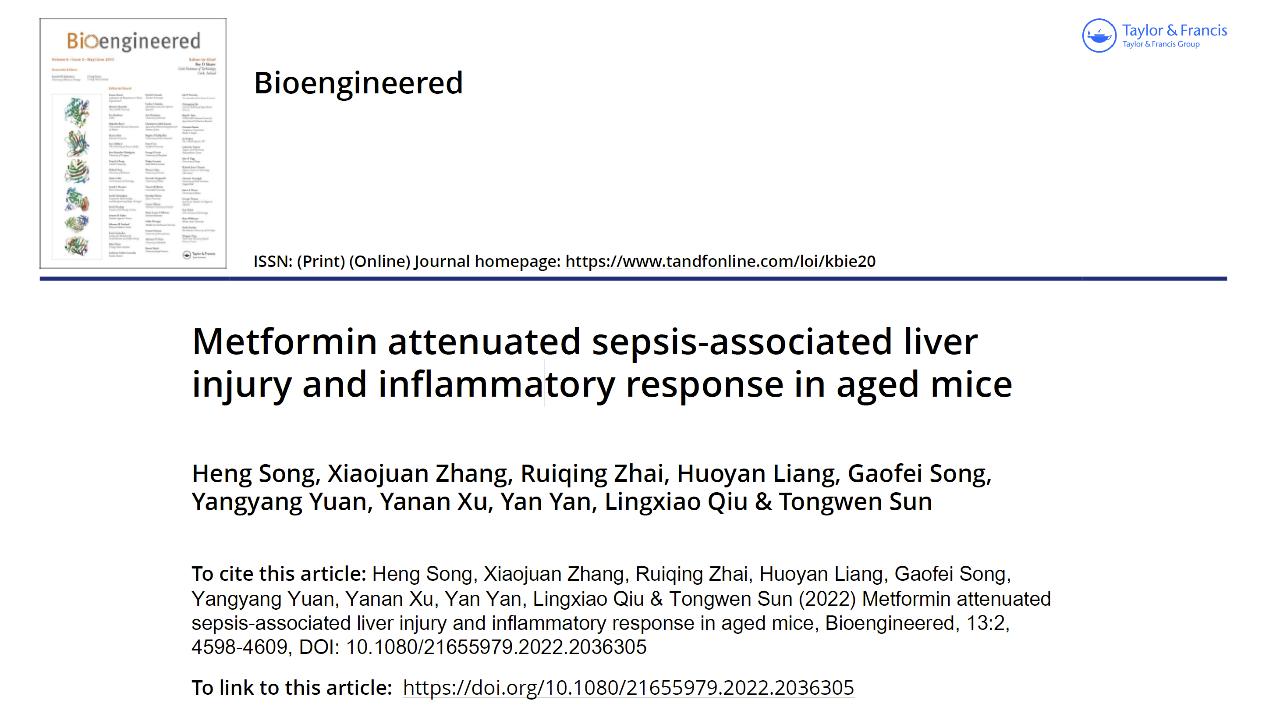 孙同文教授团队脓毒症研究新发现：二甲双胍可改善脓毒症相关肝损伤、西维来司他钠可提高脓毒症大鼠存活率