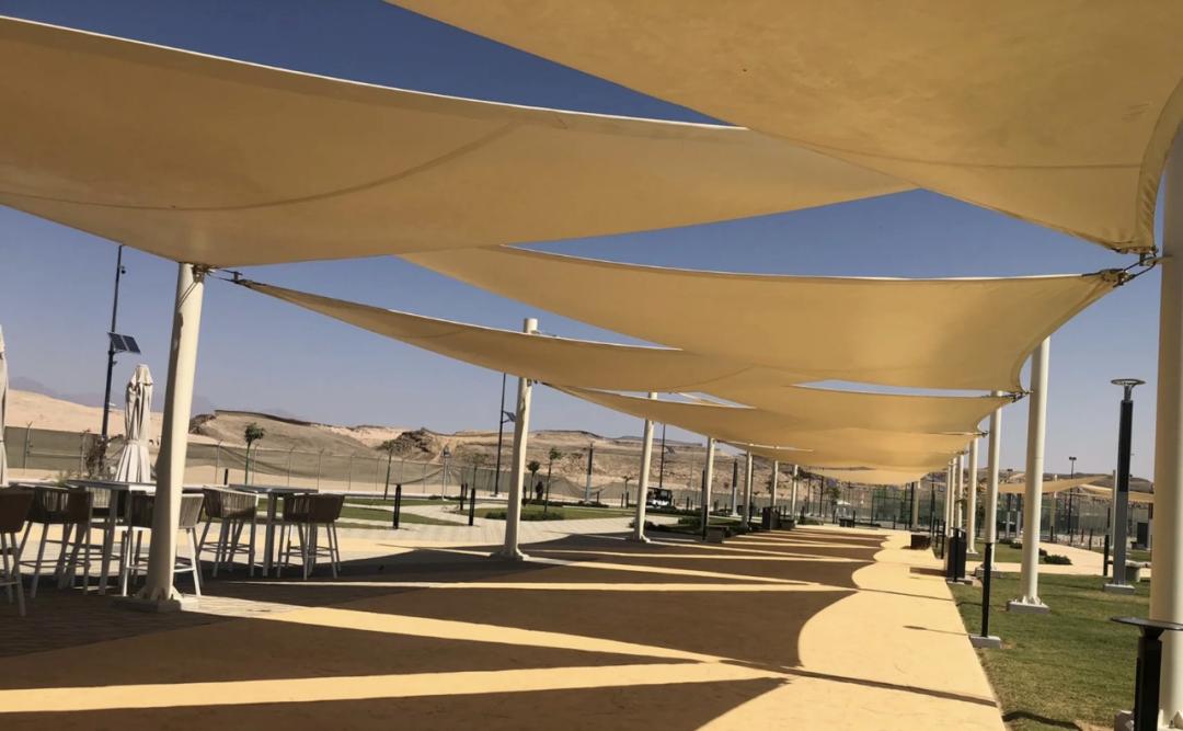 沙特发钱吗,沙特搞大基建