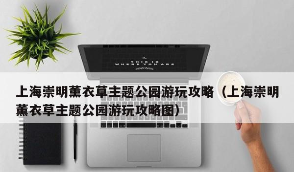 上海薰衣草最佳观赏时间,2024年上海薰衣草什么时候开
