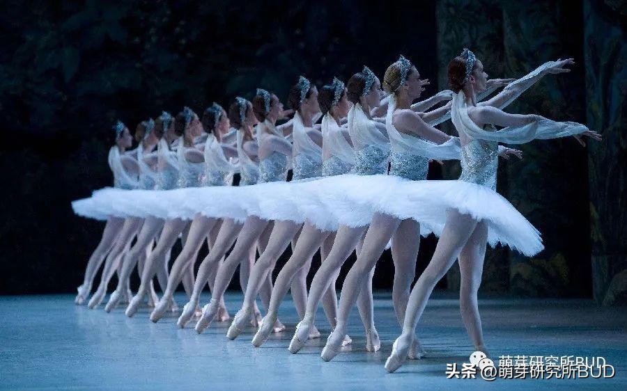 热门儿童兴趣班推荐,兴趣班盘点