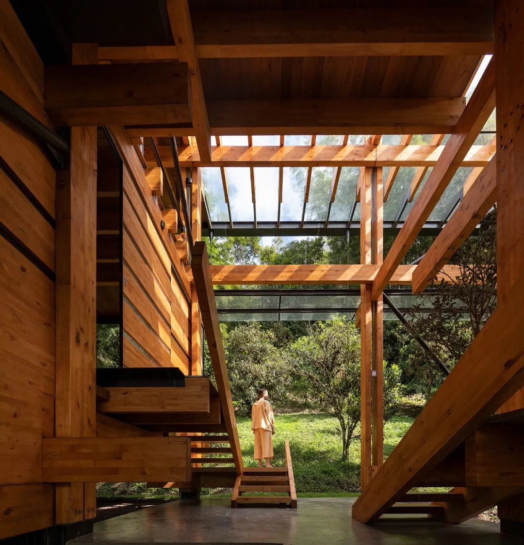 archdaily年度建筑冠军,archdaily获奖