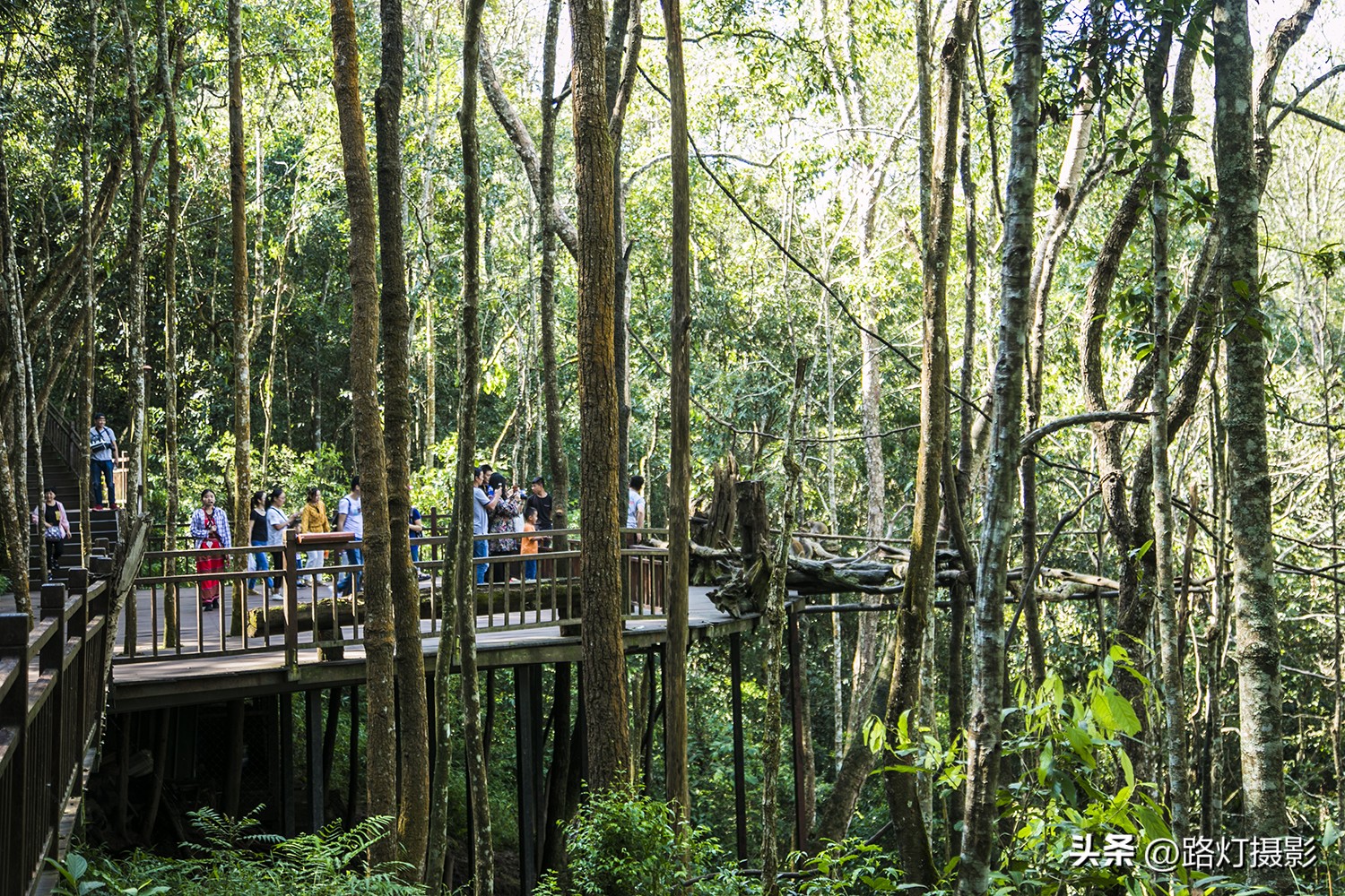 普洱与昆明谁更适合养老,普洱和弥勒哪个更适合养老居住