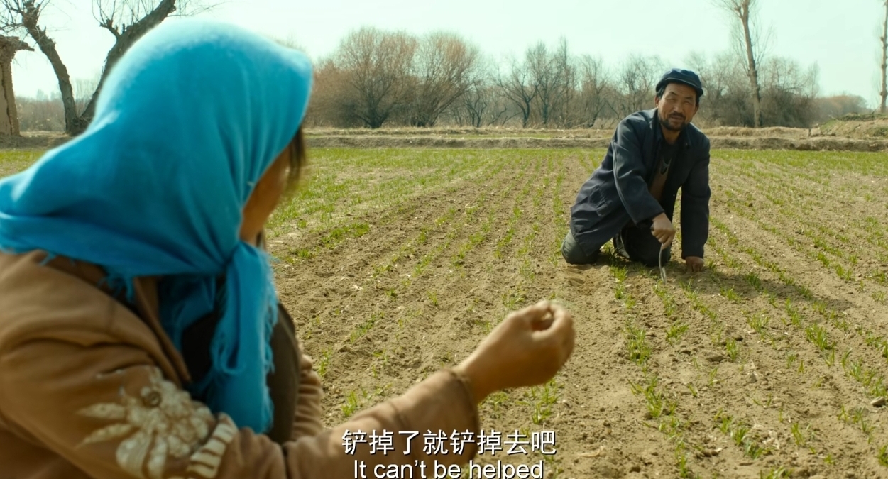 《隐入尘烟》被下架大可不必，其实可以正视研究改进它