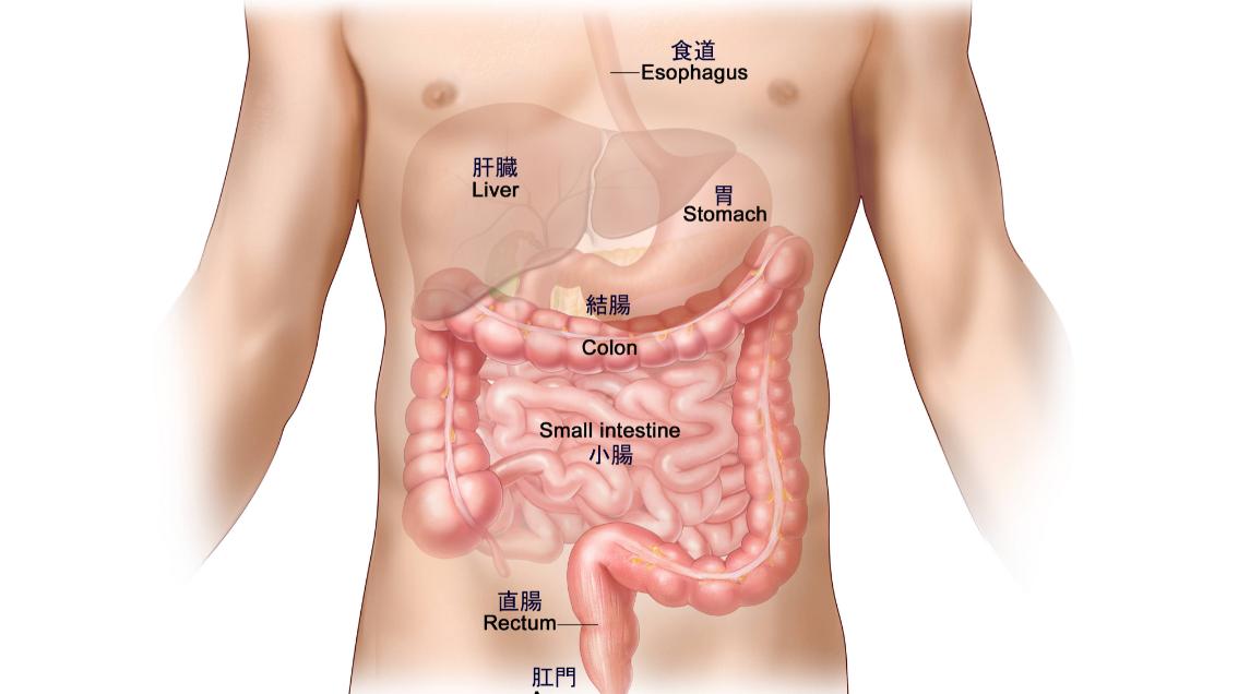 肛门癌与痔疮的症状和前兆,不要错把癌症当痔疮