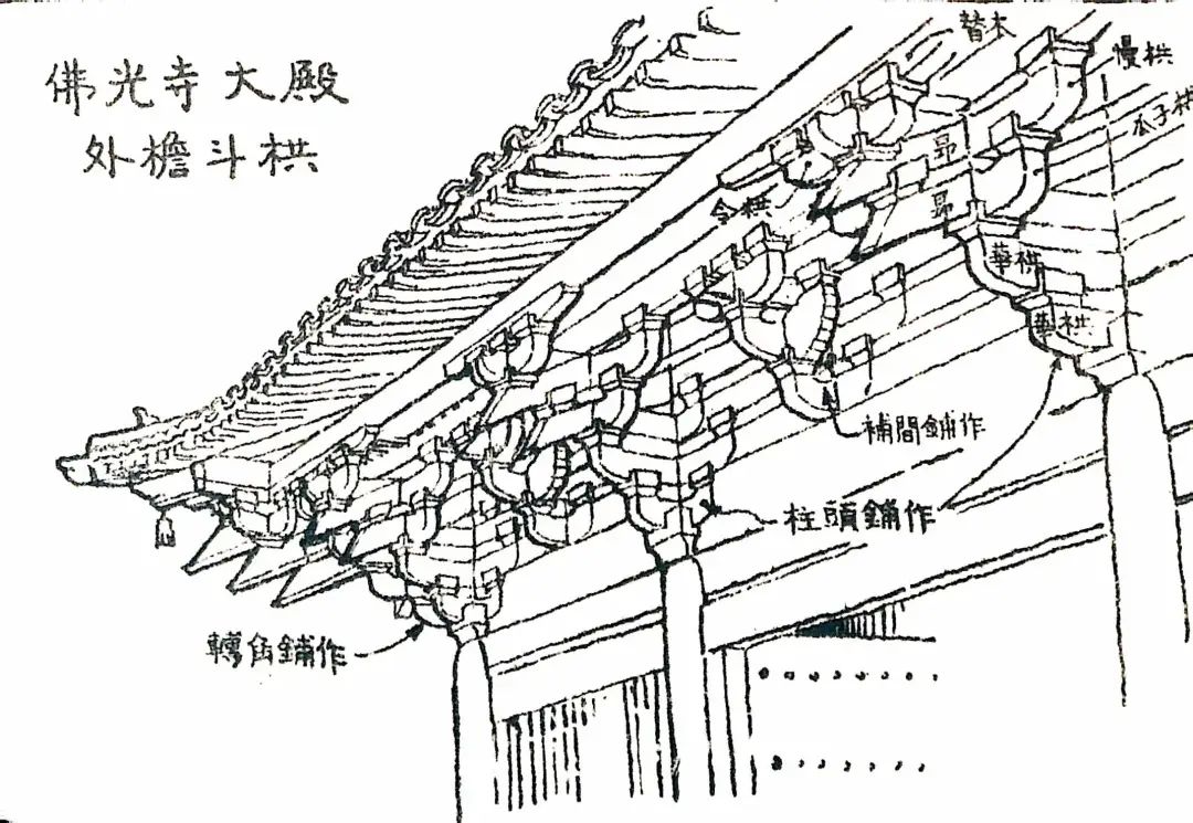 梁思成林徽因与他们的时代,梁思成与林徽因背后的故事