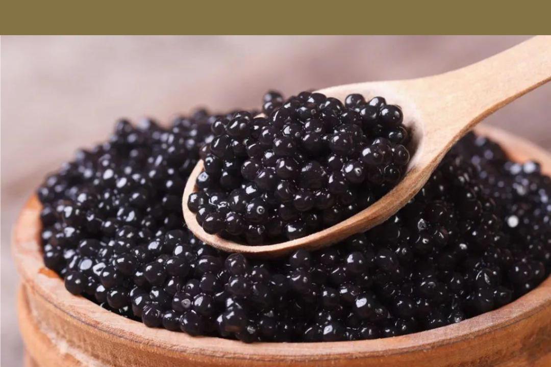 鱼籽酱的阶层跃升拯救了鲟鱼，但人类真的能「支配自然」吗？