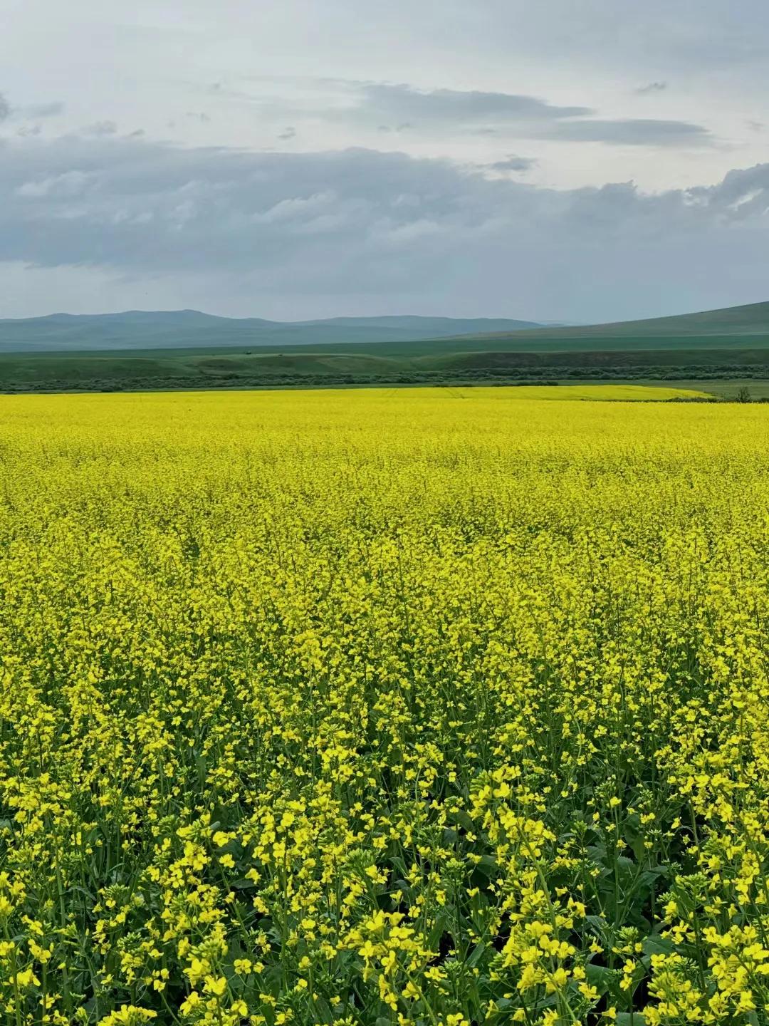 呼伦贝尔旅游攻略自驾游线路推荐,天津到呼伦贝尔自驾游攻略路线