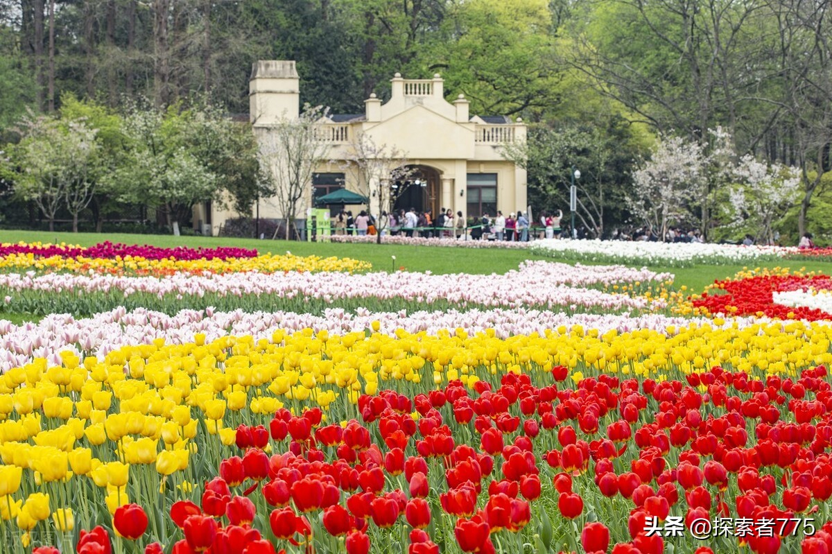 杭州西湖两日游攻略夏天,上海到杭州西湖一日游攻略