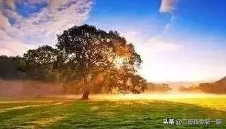 三观不正的人容易害了自己的孩子,毁三观对孩子有影响吗